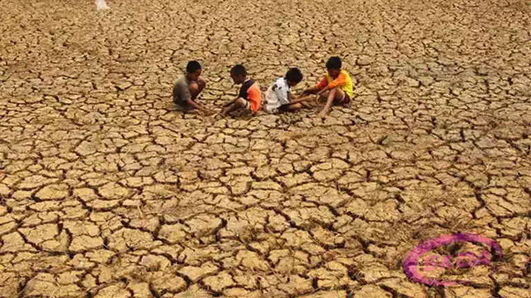 Dampak El Nino Bagi Indonesia Perlu Diketahui