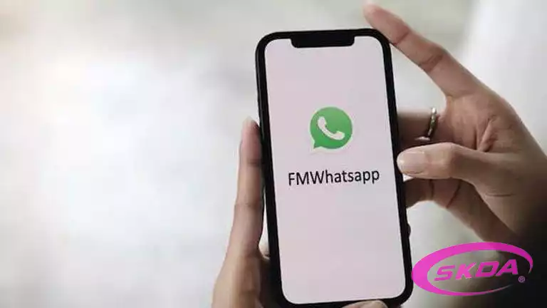 Tips dan Saran dari Pakar Tentang FM WhatsApp