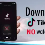 Download Mp4 Tiktok No Watermark Full HD Tanpa Aplikasi