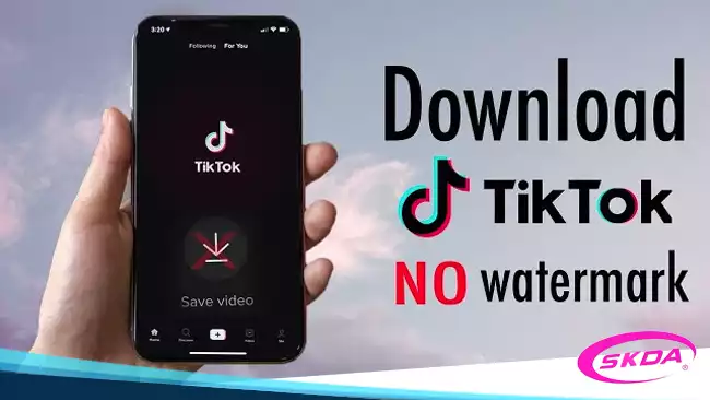 Download Mp4 Tiktok No Watermark Full HD Tanpa Aplikasi